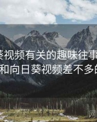 和向日葵视频有关的趣味往事 · 故事90，和和向日葵视频差不多的视频