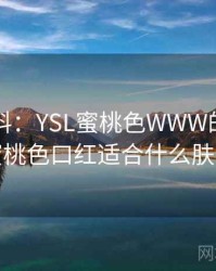 网友爆料：YSL蜜桃色WWW的最新内幕，蜜桃色口红适合什么肤色的人