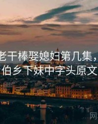 老农民老干棒娶媳妇第几集，农民伯伯乡下妹中字头原文