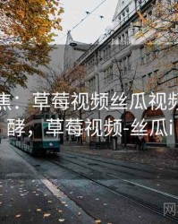 媒体聚焦：草莓视频丝瓜视频正在发酵，草莓视频-丝瓜i