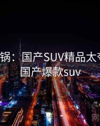 全网炸锅：国产SUV精品太夸张了，国产爆款suv