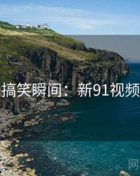 搞笑瞬间：新91视频