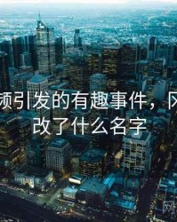 冈本视频引发的有趣事件，冈本视频改了什么名字