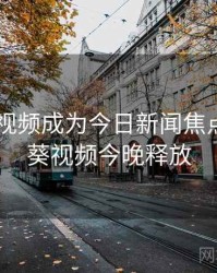 向日葵视频成为今日新闻焦点，向日葵视频今晚释放