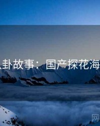 八卦故事:国产探花海角